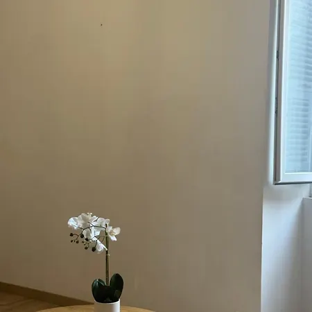 Appartamento Lumineux Et Cosy Au Coeur De La *